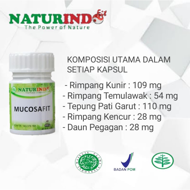 obat herbal alami asam lambung maag kronis-1