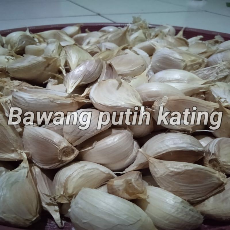 

Bawang kating