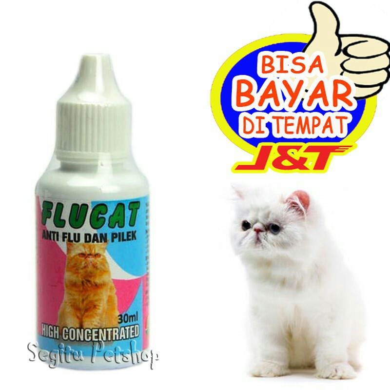 Obat kucing Flu pilek bersin FluCat