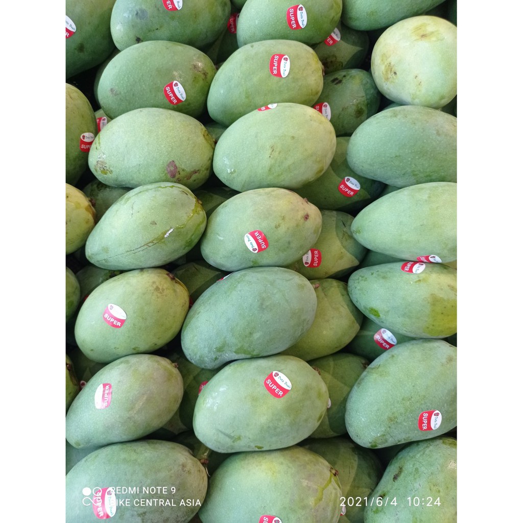 

MANGGA MANALAGI SUPER JUMBO PER KG