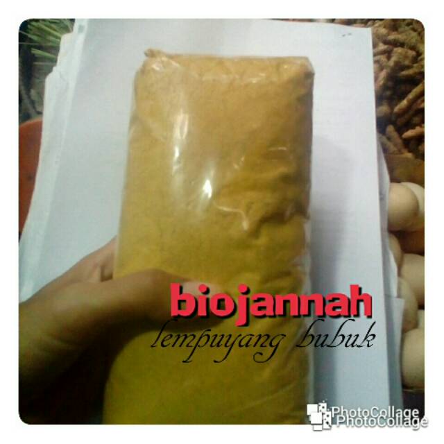 

Lempuyang bubuk 100gr