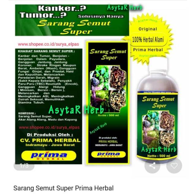 Sarang Semut Super Original Prima Herbal