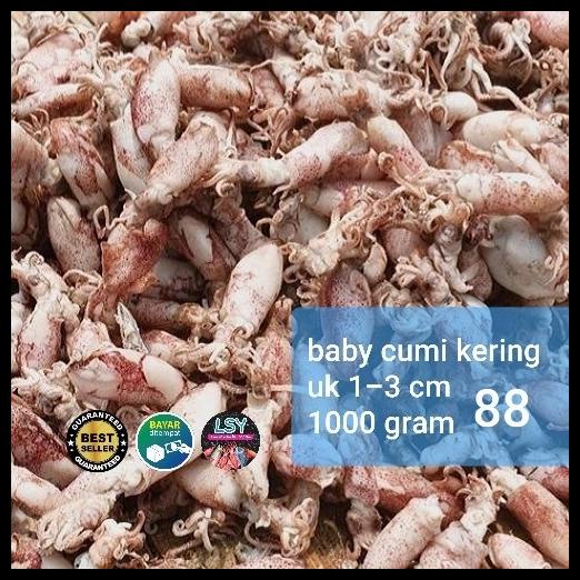 

Ikan Asin Baby Cumi / Cumi Rebus Kering 88% 1Kg