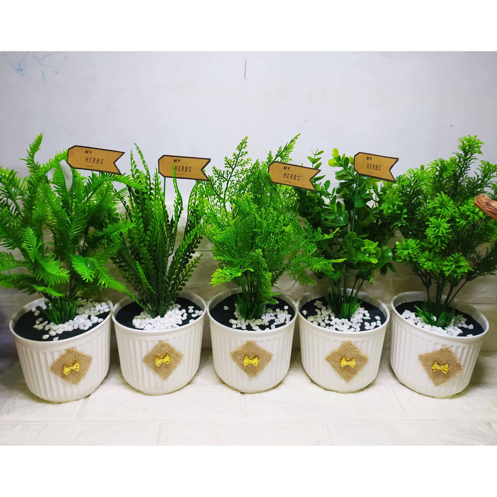 MY HERBS pot salur sedang - Pajangan Herbs Cantik Pot salur sedang