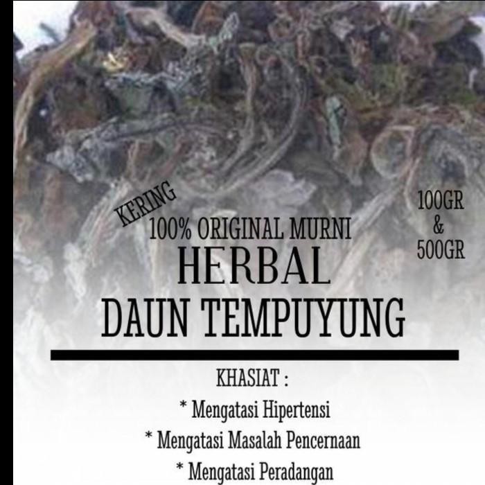 

Daun Tempuyung Kering 500gr | Mengatasi Kencing Batu