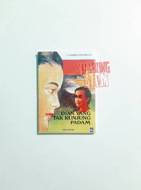 Buku Novel Dian Yang Tak Kunjung Padam Shopee Indonesia