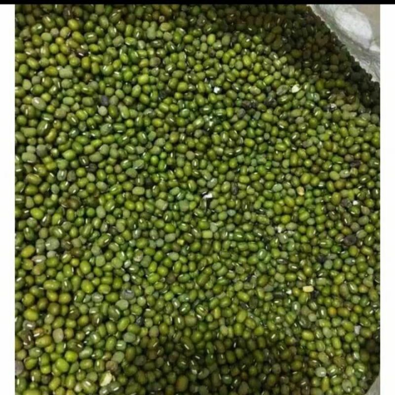 

Kacang ijo mentah 1kg