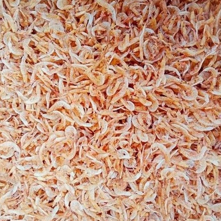 

Udang Rebon Kering Tawar