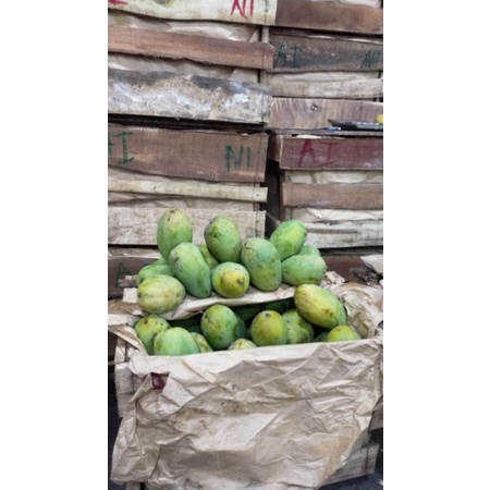 

Mangga Harum Manis