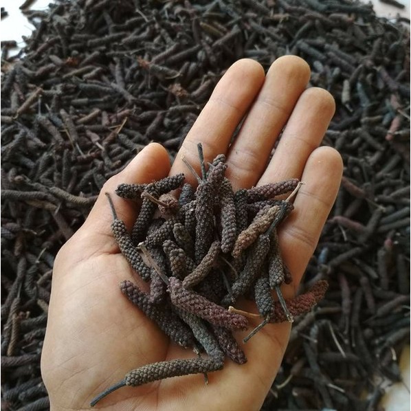 

Cabe Jawa Kering Premium 1 kg & 500 gr