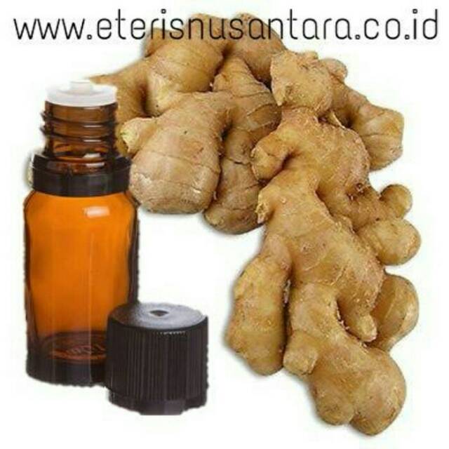 

Minyak Kunyit Putih / Zedoary Oil