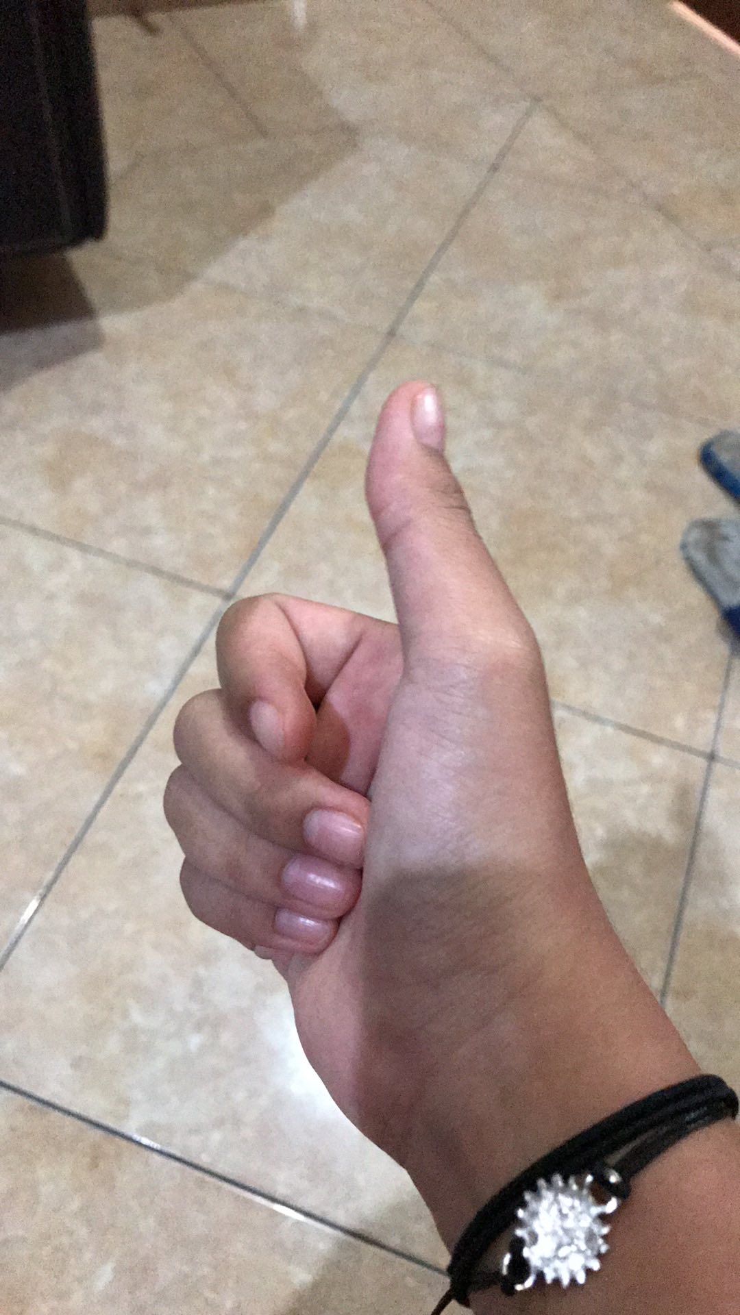 [bisa Cod] Alat Masak Camping Full Set - Cooking Set Ds 308 Sudah Ada Teko Air - Nesting Traveling