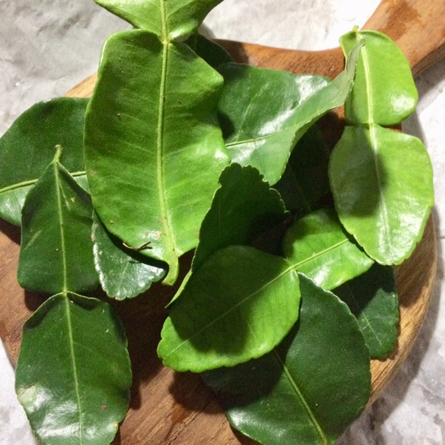 

Daun Jeruk