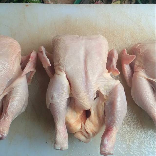 

BOGOR AYAM BOILER | BROILER KECIL Papapangan