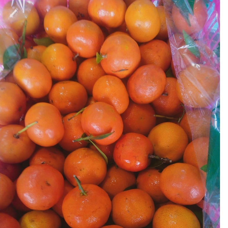 

JERUK SHANTANG IMPORT MANIS SEGAR