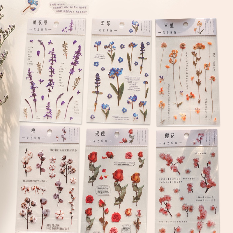 Creative Transparent PET Plant Stickers Diary Handbook DIY Decoration Material Stickers