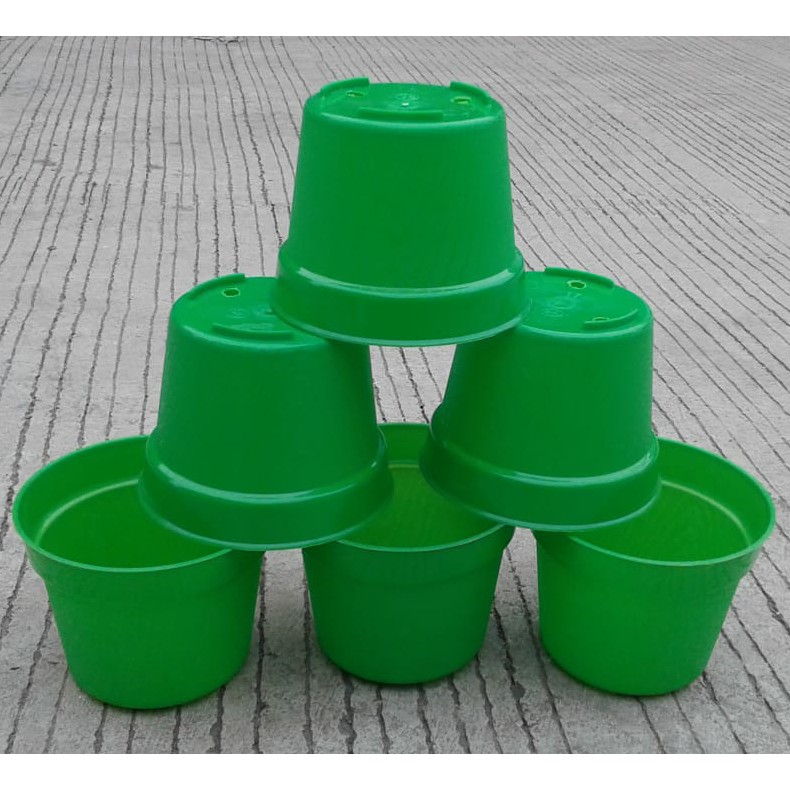 Pot Bunga 15cm Hijau Pastel Motif Kayu - Pot Plastik 15 Cm Bibit Hijau Pastel Ori
