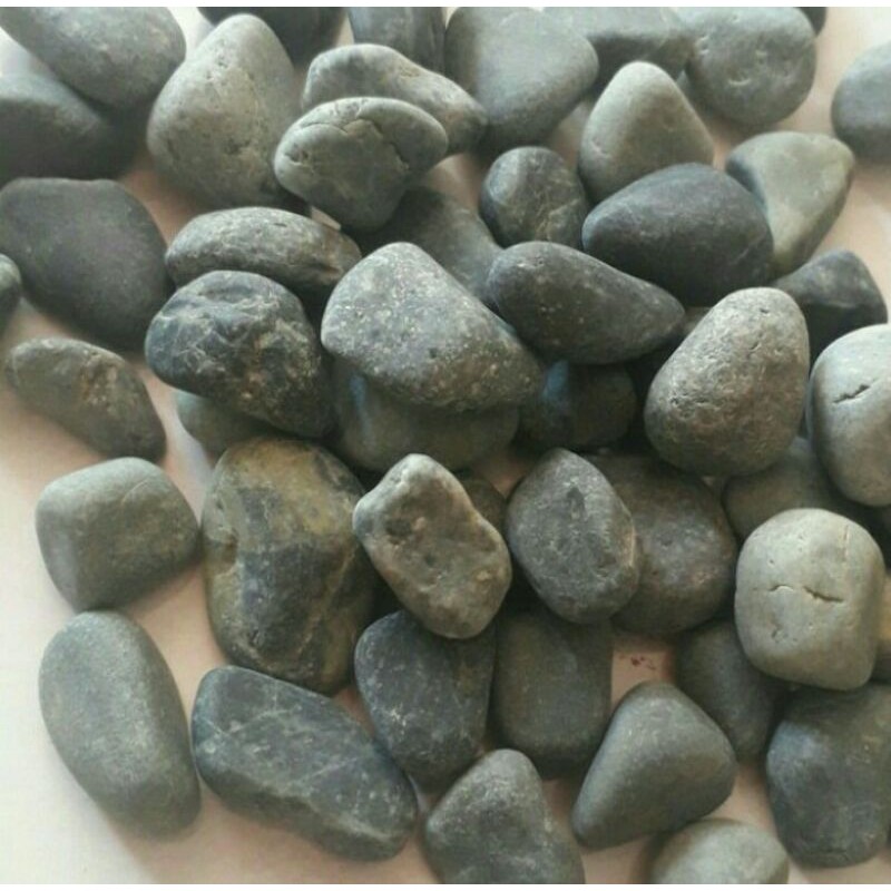 Hiasan Taman Batu Koral Kupang Hitam/Abu-abu - Kemasan 1 Kg