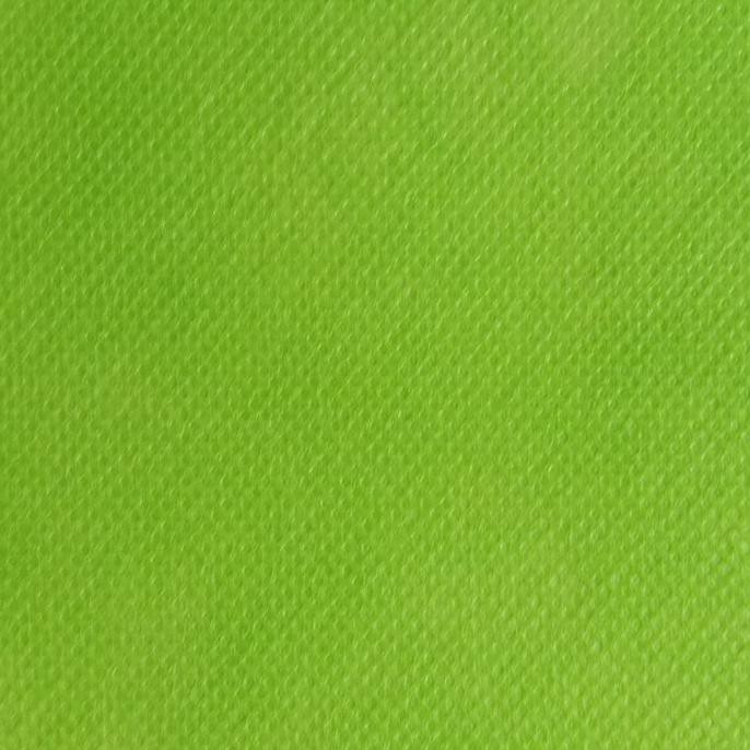 

Niakbahan- Kain Spunbond Hijau Stabilo/ Kain Puring Hijau Stabilo 75Gsm -Aslii.