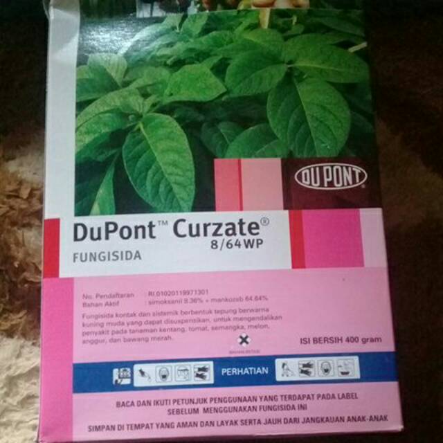 Dupont curzate