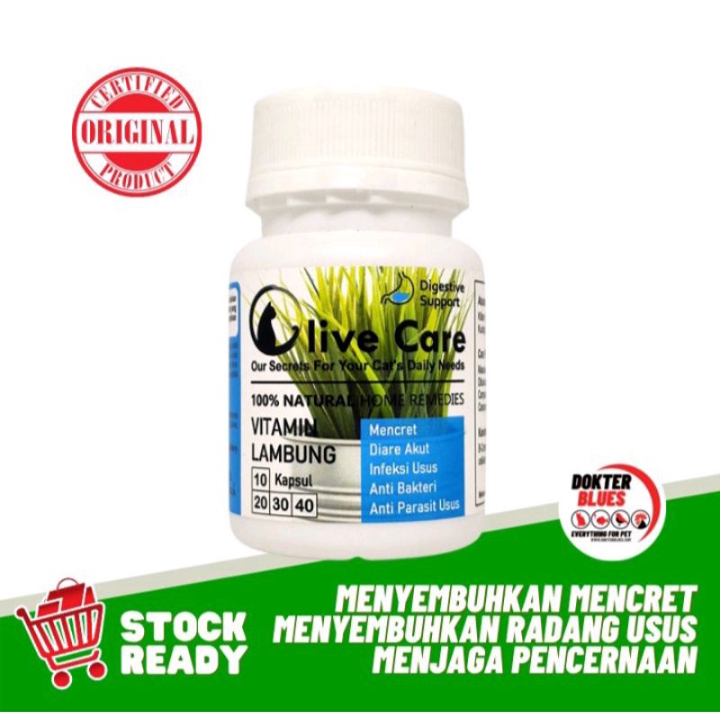 Olive Care Vitamin Kucing Mencret Diare Akut Pup Berdarah Radang Usus