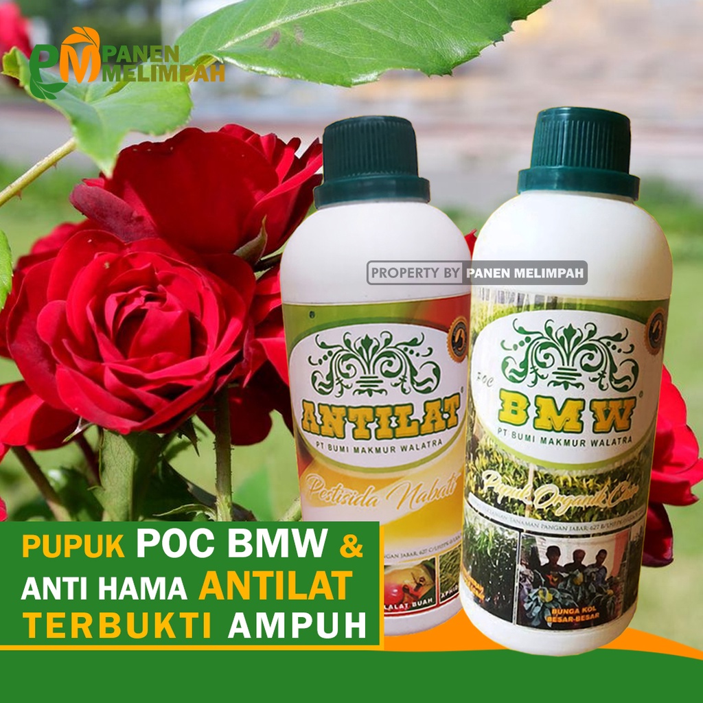 Jual Pupuk Pestisida Organik Cair Obat Anti Hama Pupuk Organik Cair