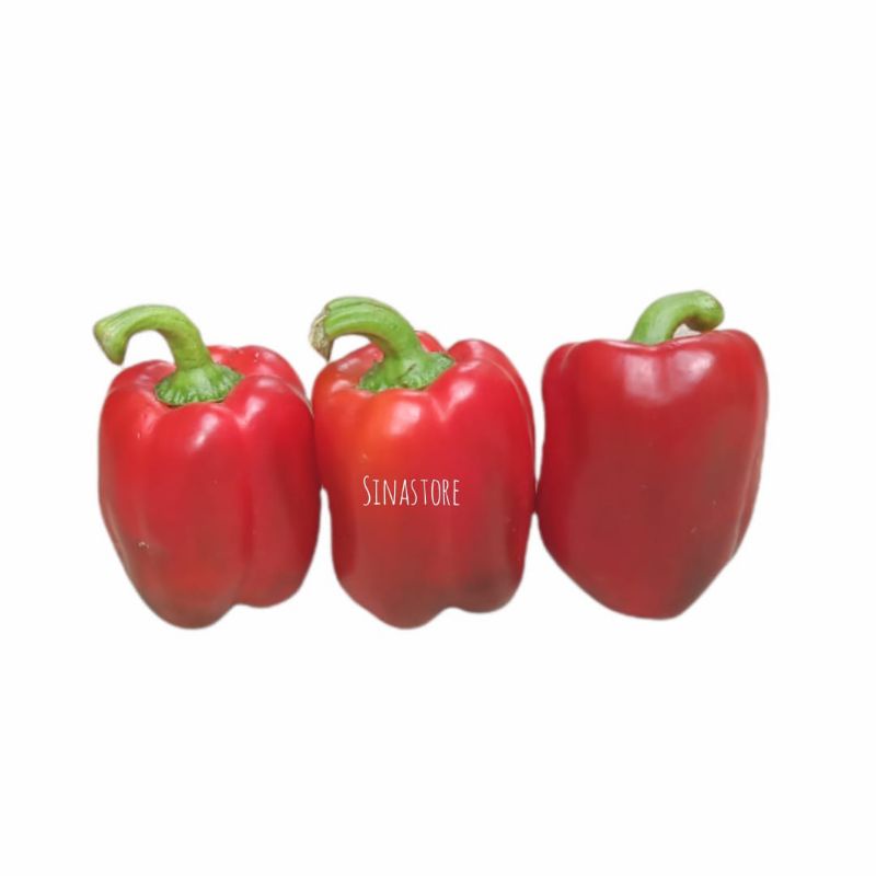 

Paprika Merah Segar/fresh 500gram