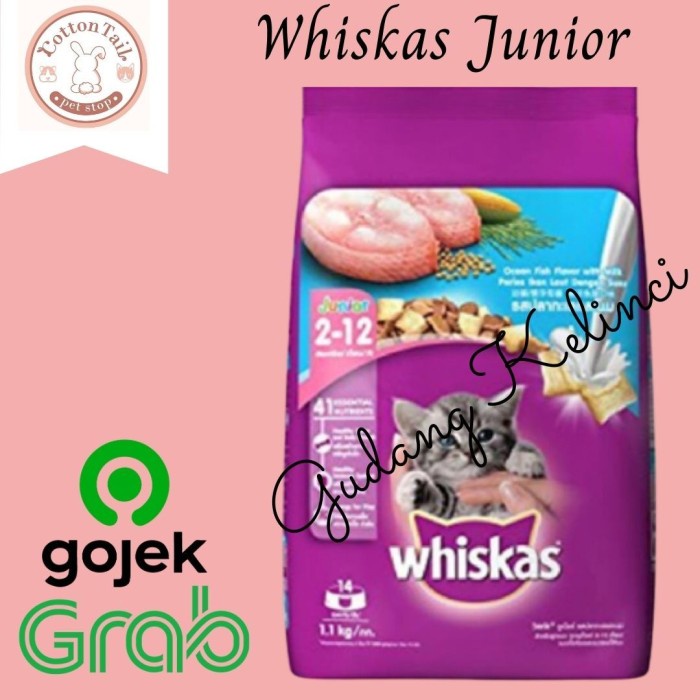 Jual WHISKAS DRY FOOD JUNIOR 450GR / MAKANAN PELET KUCING JUNIOR 212 BULAN Shopee Indonesia