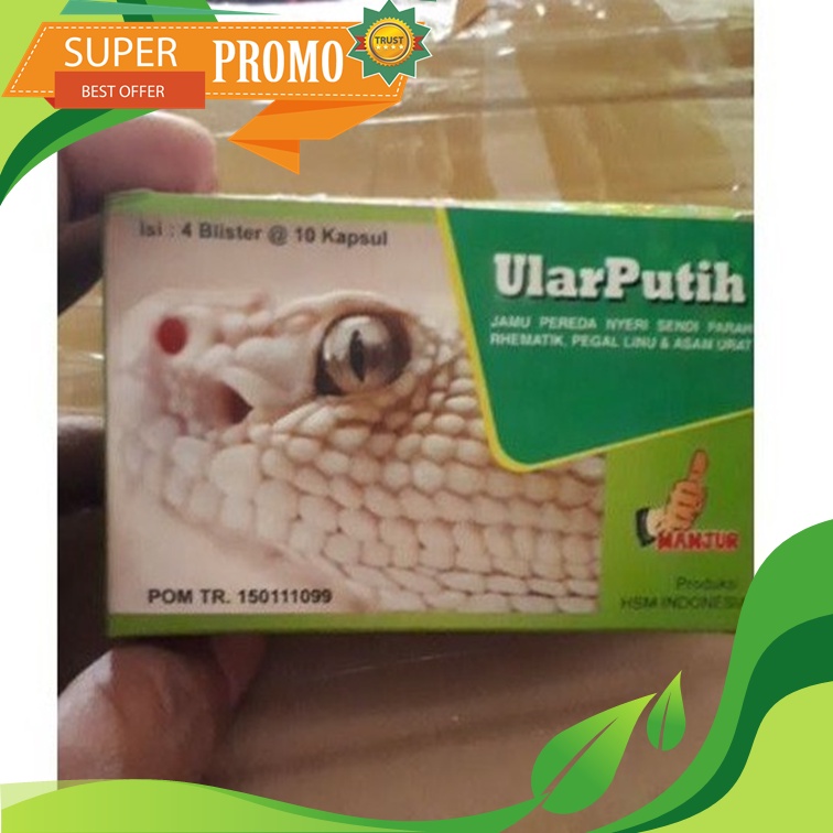 Ular Putih Obat Asam Urat Ampuh Sekali Herbal pegel linu Sakit Kaki Tangan Kesemutan dan Kebas Kapsu