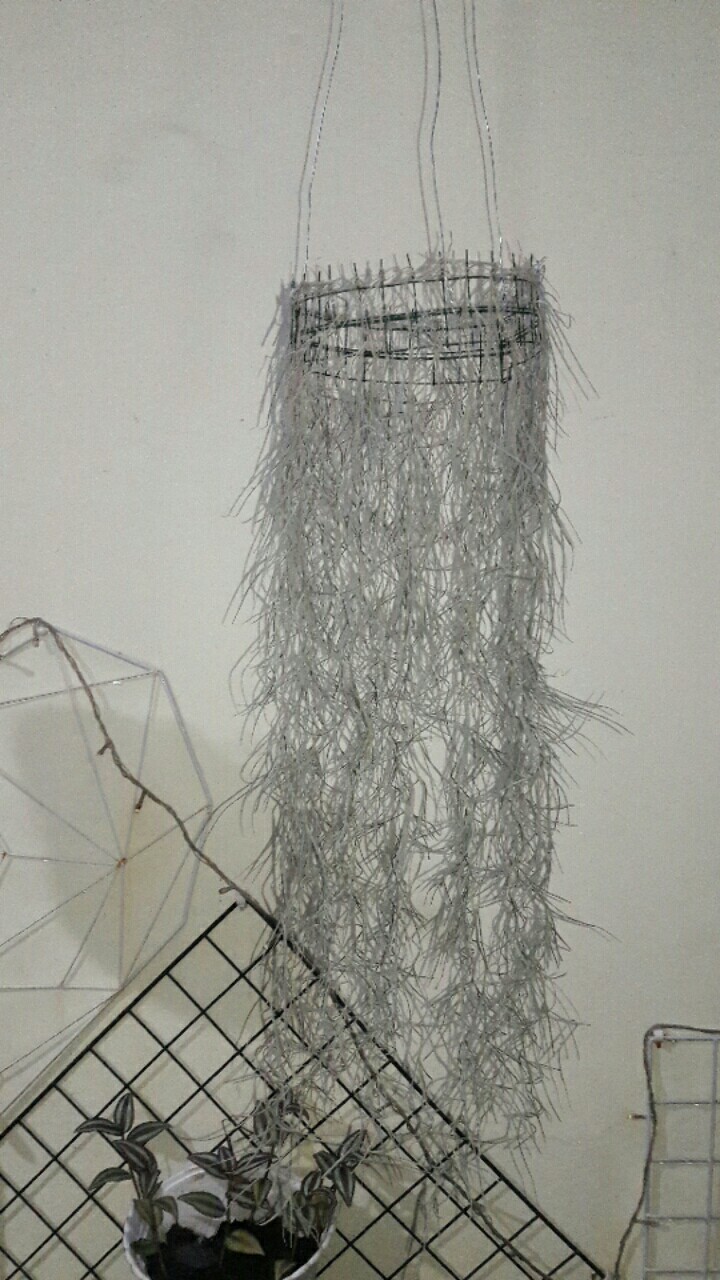 Tilandsia Atau Jenggot Musa Atau Jenggot Dewa 40 Cm