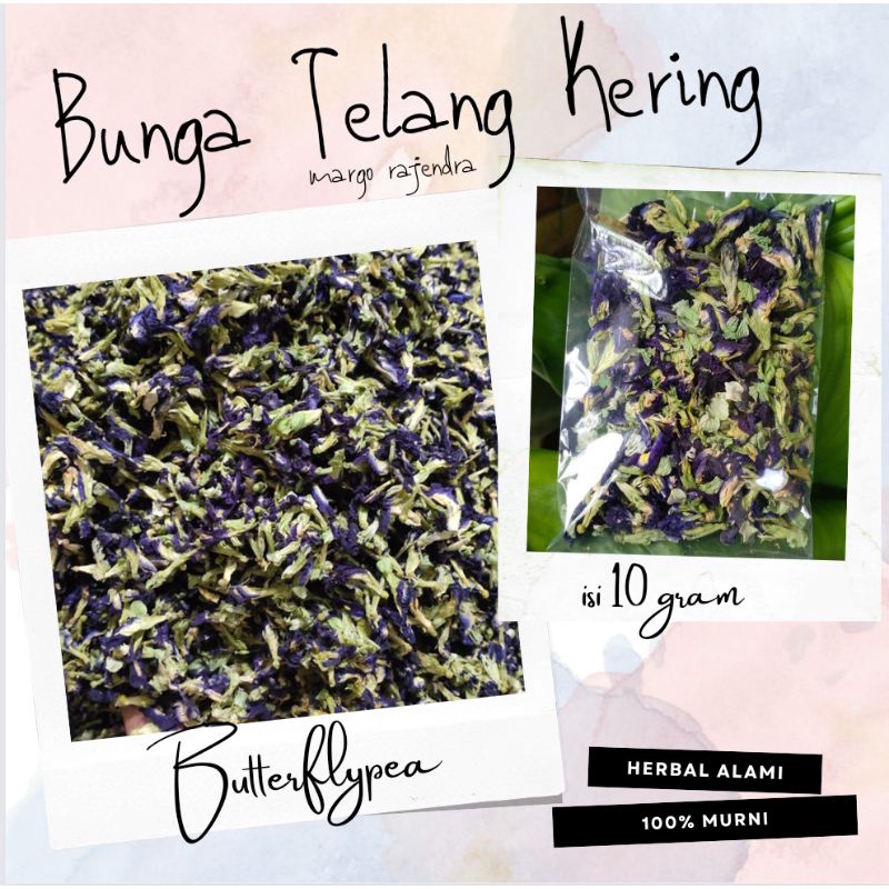 

Bunga Telang Kering 10gr Promo Murah Butterflypea Teh Organik