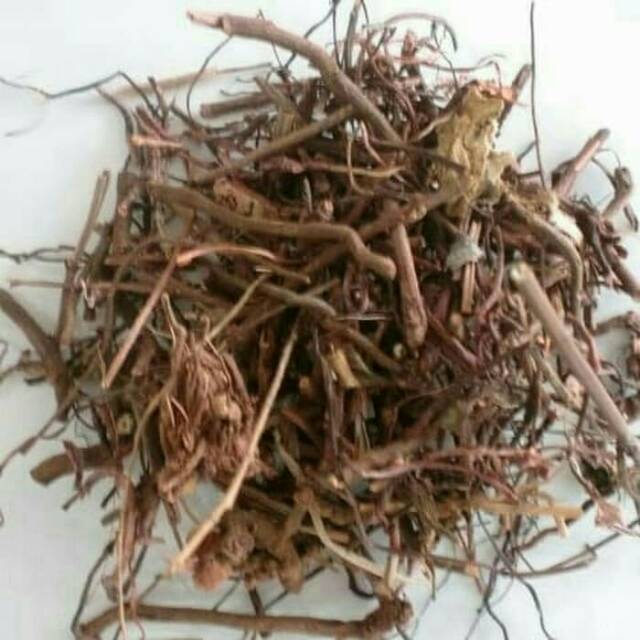 

10 G 50 GR 100 GRAM 红茜草根 HONG QIAN CAO GEN RADIX RUBIAE RED MADDER ROOT RUBIA ROOT