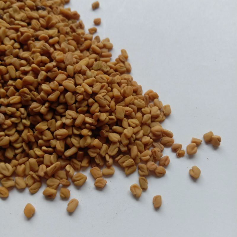 

Klabet / Klebet / Fenugreek / Methi Seeds kemasan 100gr