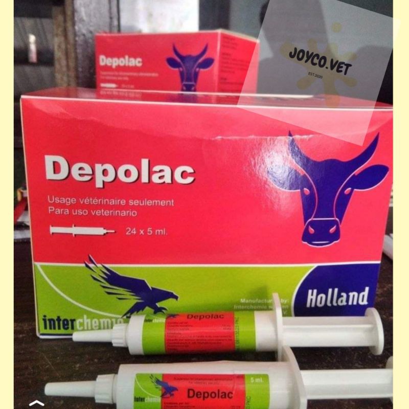 DEPOLAC 5ml/syringe - Obat Mastitis Sapi Masa Kering Infeksi Ambing Susu Sapi Perah Kambing dll