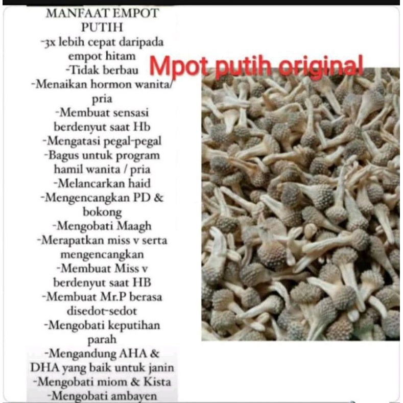 Empot empot putih asli madura/ jamu pria dan wanita/jamu menghilang keputihan dll