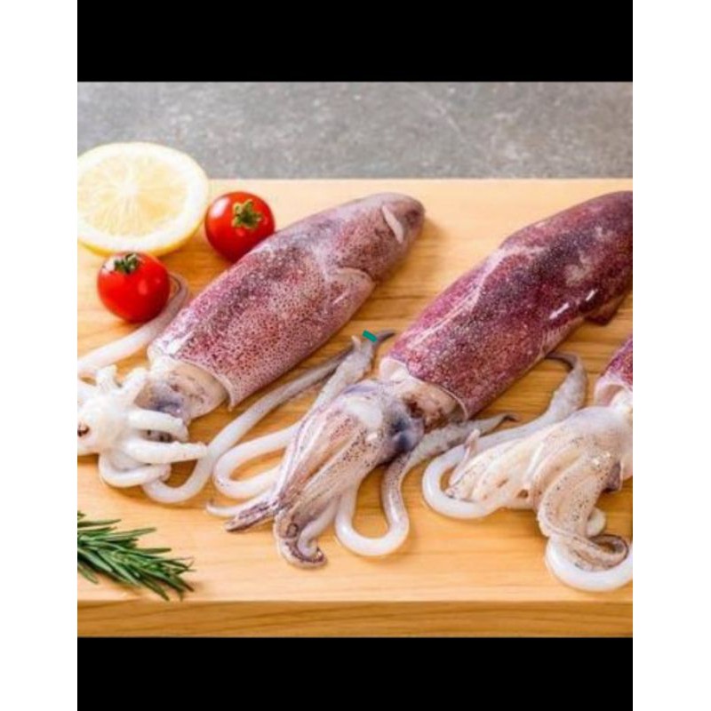 

Cumi semampar Fresh segar - 1 kilogram