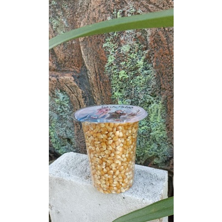 

Jagung Pop Corn Cup 14 oz Produk Argentina