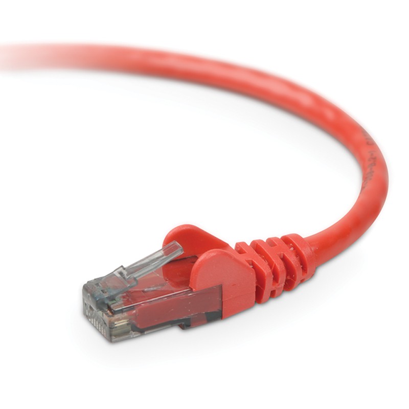 Belkin UTP Cat 6 Patch Cord 5 Feet - 1.5 Meter