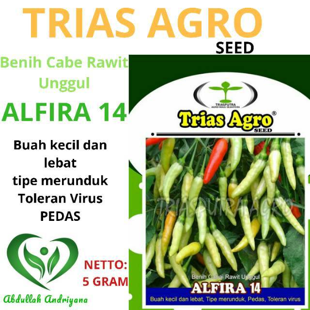 Benih Cabe Rawit Putih Merunduk ALFIRA 14 isi 5 Gram Produk TRIAS AGRO