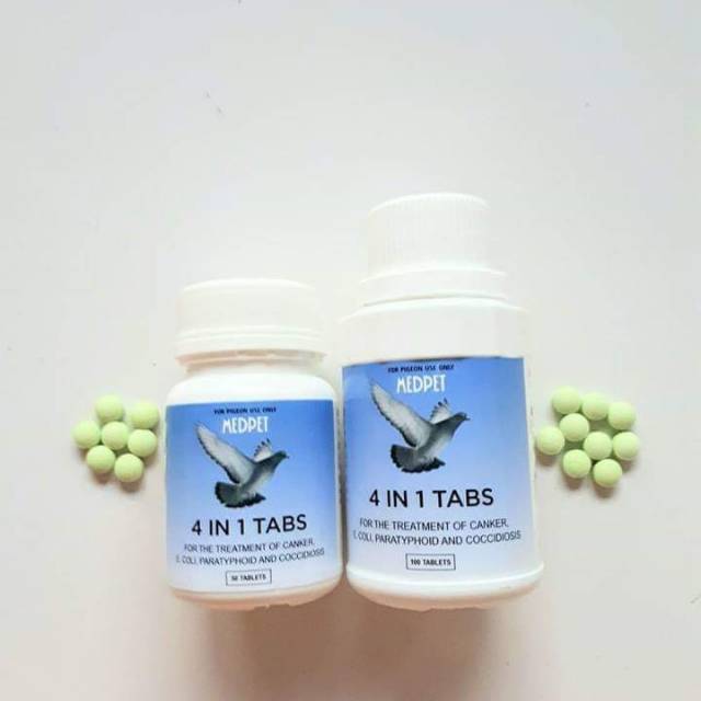 4 in 1 obat kembung obat goam merpati