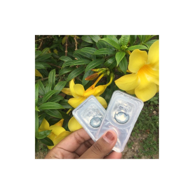 SOFT LENS