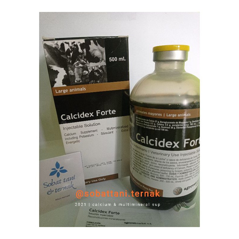 Calcidex forte 500 ml obat hewan ambruk milkfever