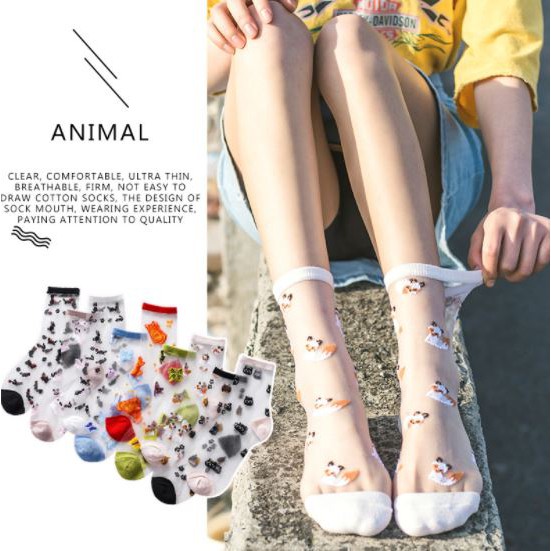 KKT 21-29 Kaos Kaki Korea Transparan Kekinian Motif Animal Kucing Kupu-kupu