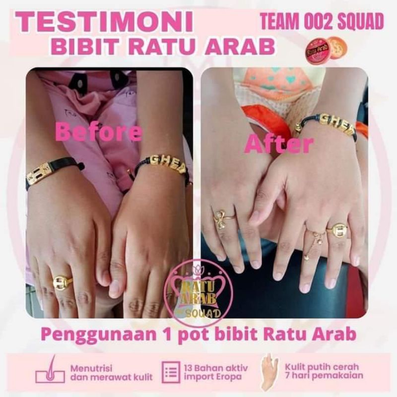 Hb Bibit Ratu Arab Original