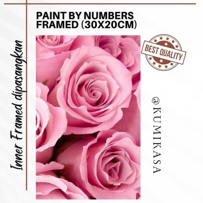 

DIY painting by number 30x20 kerajinan tangan - PINK ROSES