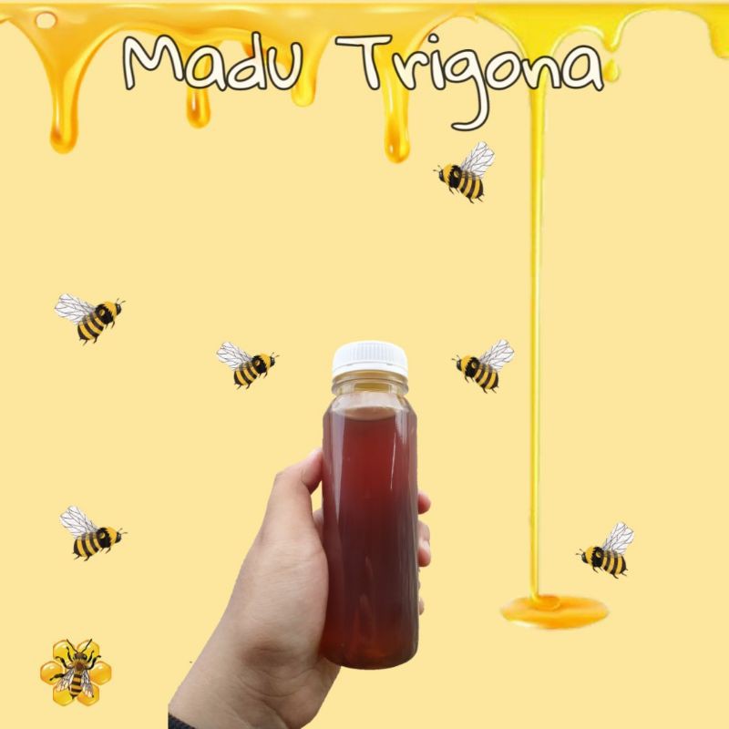 

Madu Trigona klanceng, lanceng, kelulut, teuweul, Kele 350gr/250ml Asli dan Murni