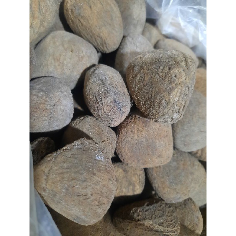

pucung, kluwak, atau kluwek, bumbu penghitam rawon 200gr