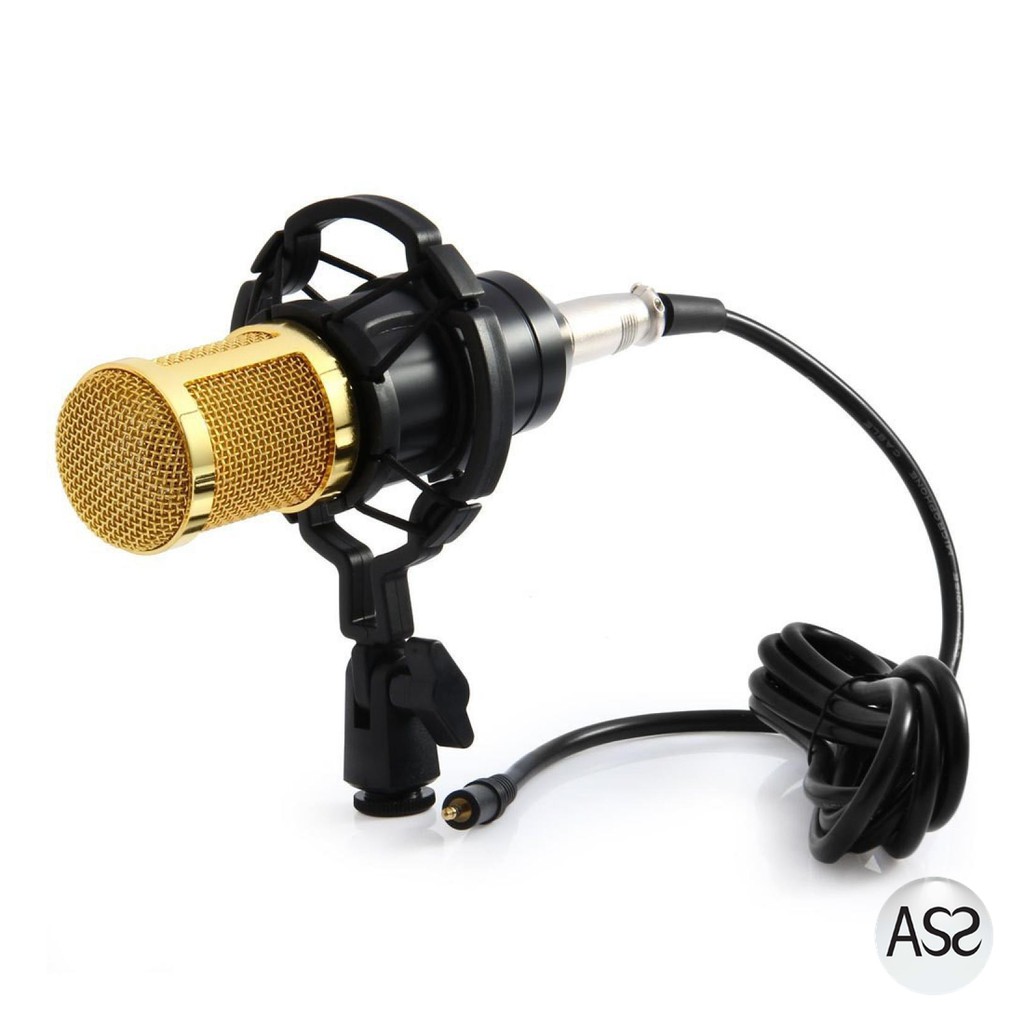 ASS Shop - TaffSTUDIO Mikrofon Kondenser Studio dengan Shock Proof Mount - BM-800