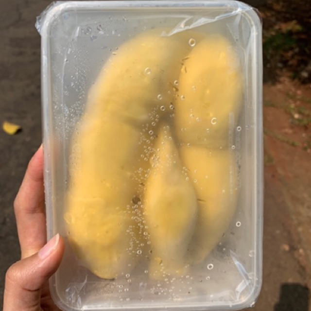 

Durian Montong Palu