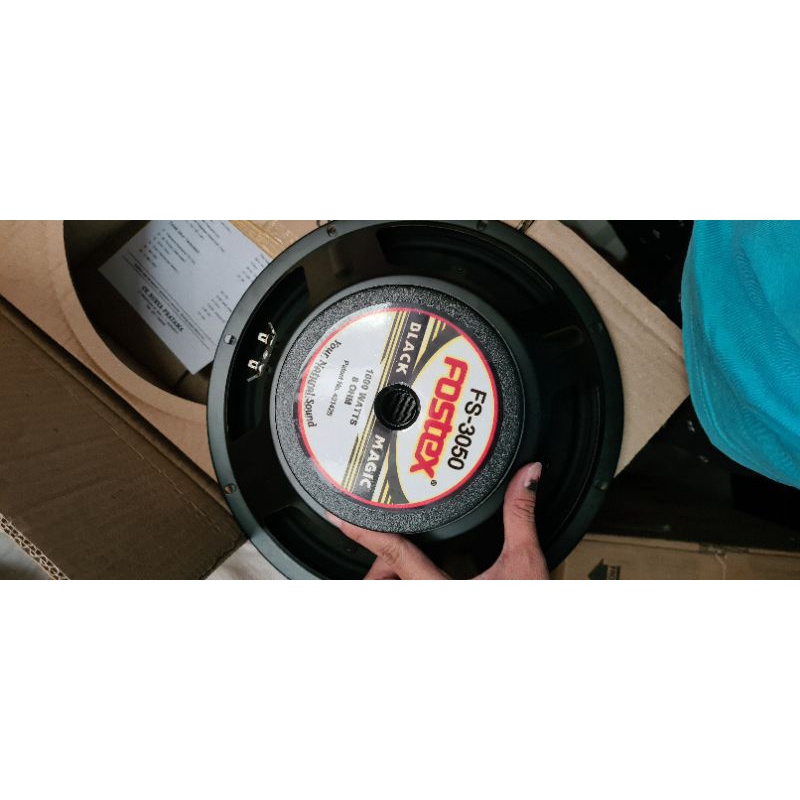 Fostex 12 in khusus MidLow